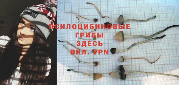 гидра Арсеньев