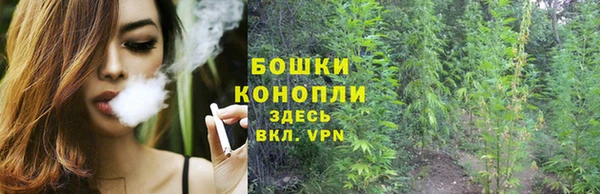 гидра Арсеньев