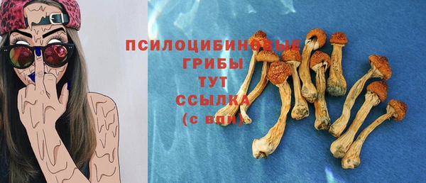 гидра Арсеньев