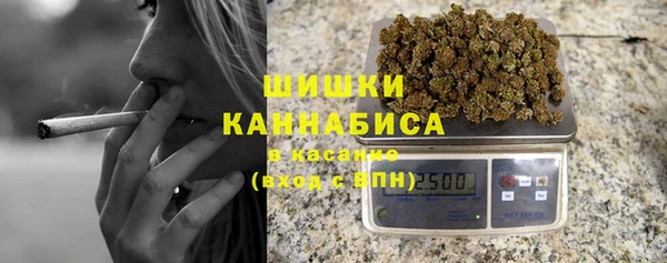 гидра Арсеньев