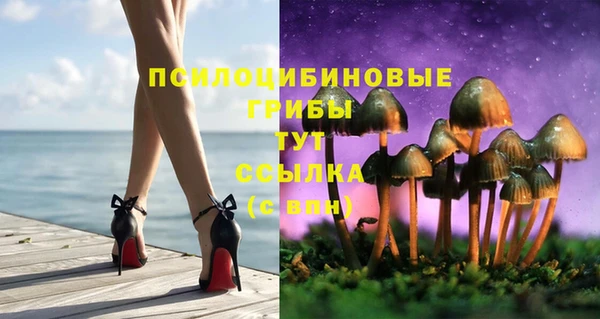 не бодяженный Аркадак