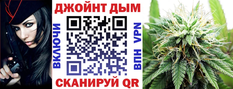 Каннабис планчик Нарткала